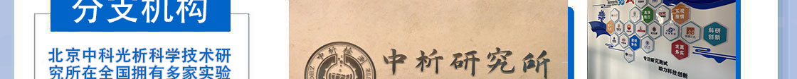 我們的實力